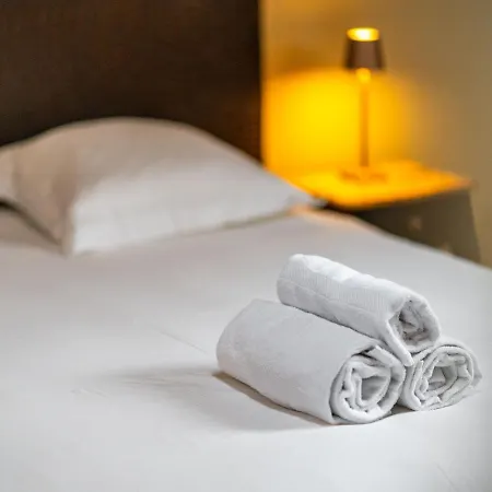 Daire La Palais Ducal Nancy