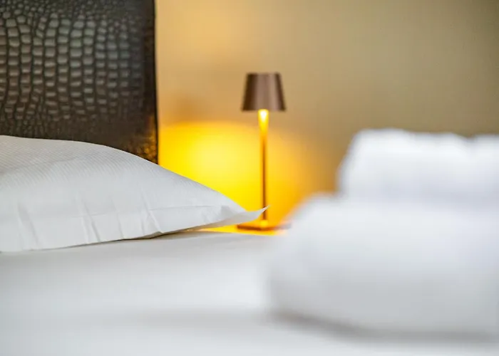 La Palais Ducal * Nancy